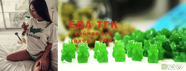 гидра Богданович