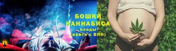 гидра Богданович