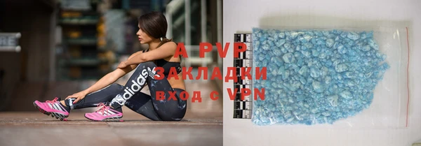 гидра Богданович
