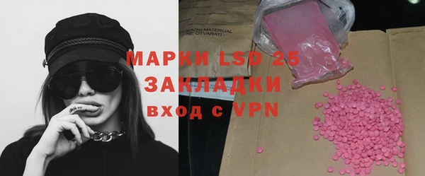 гидра Богданович