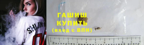 гидра Богданович