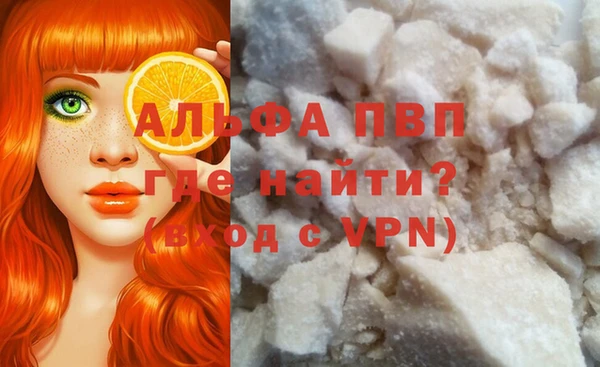 гидра Богданович