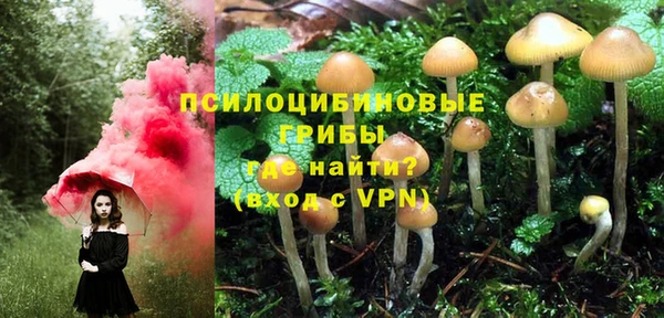 MESCALINE Богородск