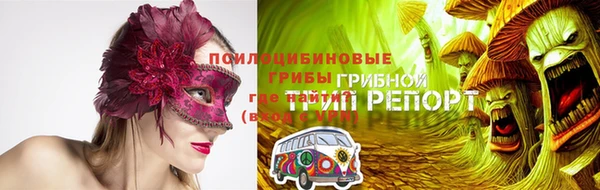 гидра Богданович
